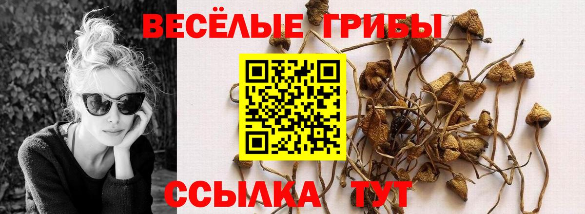Тобольск  Галлюциногенные грибы прущие грибы  Вход с VPN  цена наркотик  Галлюциногенные грибы Psilocybine cubensis 