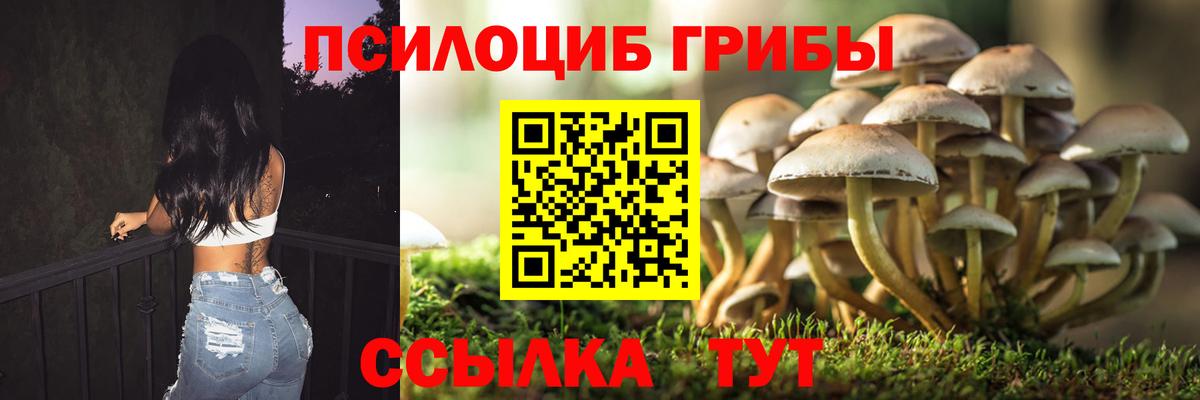 Галлюциногенные грибы Cubensis Тобольск